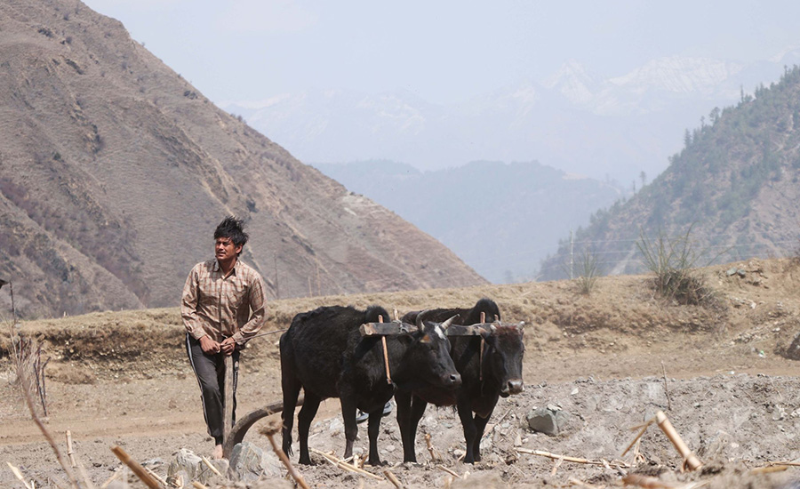 कर्णालीमा हलो जोत्दै अभिनेता प्रदीप